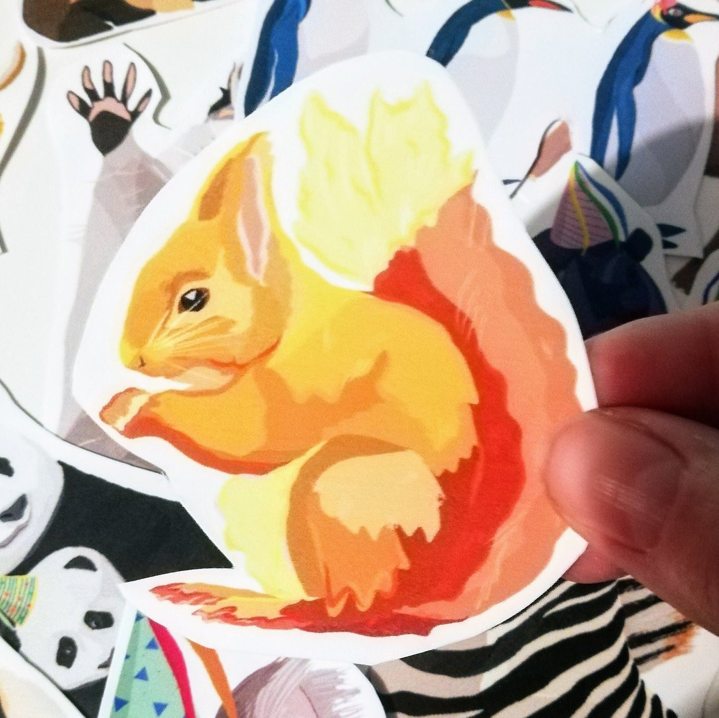 squirrel sticker