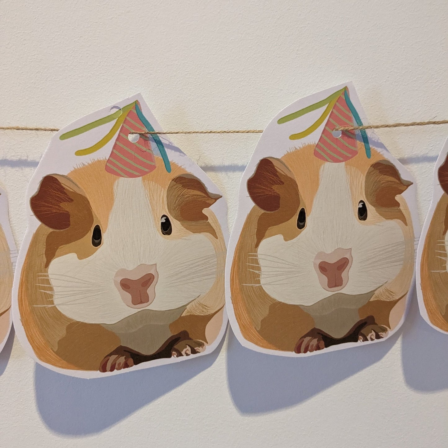 Meerschweinchen/ Hamster/ Ammer/ Party